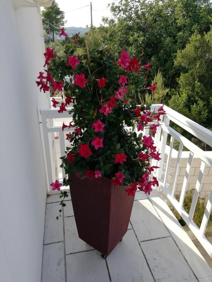 Apartments Ivona لومباردا المظهر الخارجي الصورة